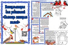 Помощь птицам зимой!