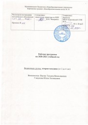 Рабочая программа. IIмладшая группа. 2020-2021 учебный год