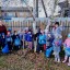 Акция "Чистый участок!"