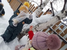 Помощь пернатым друзьям Помощь пернатым друзьям