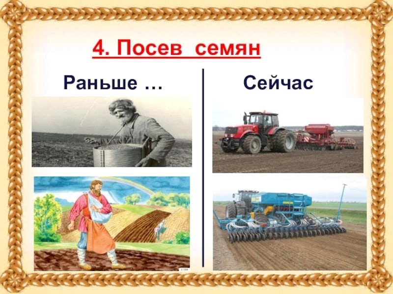 Тема недели: "Откуда хлеб пришел" 0