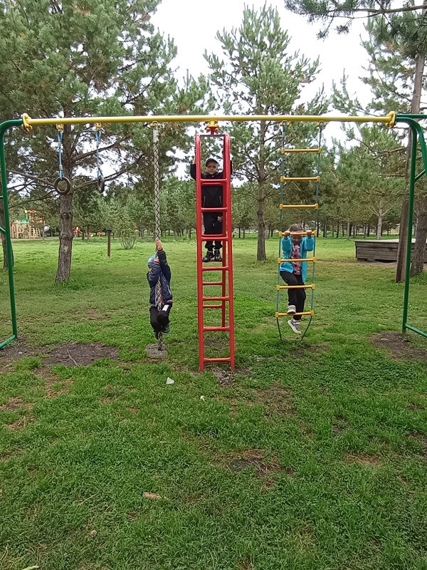 "Прогулка в парке". 4