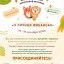 Краевой семейный финансовый фестиваль